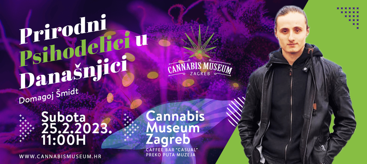 Prirodni psihodelici u današnjici- by Domagoj Šmidt - Cannabis Museum