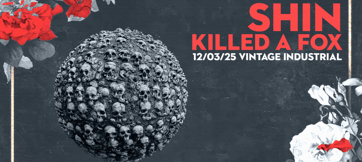 SHIN & Killed a Fox u Vintageu