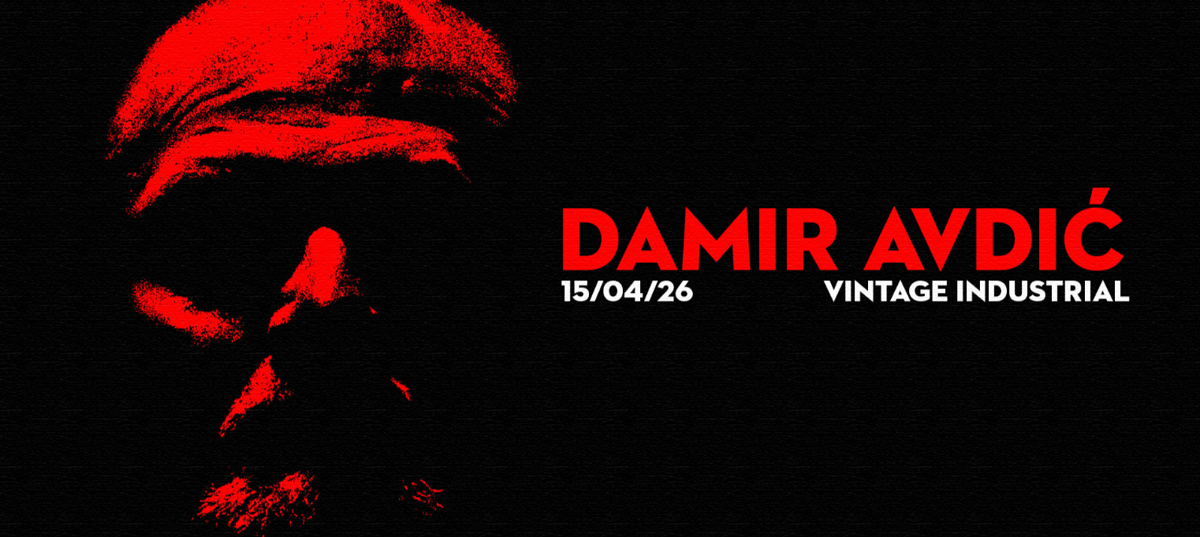 Damir Avdić u Vintageu