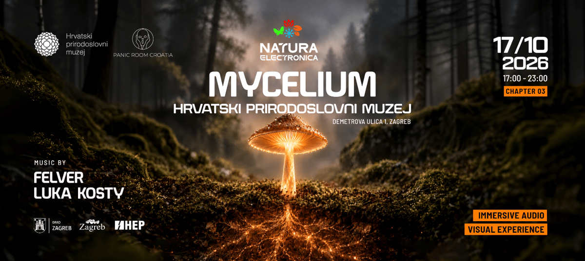 NATURA ELECTRONICA III - Mycelium