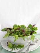 Vege/Raw food
