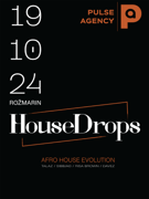 HOUSE DROPS I TALAZ & PULSEdjs I Afro House Evolution