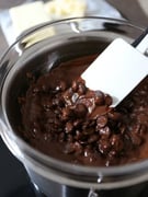 Belgijske praline