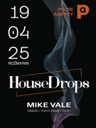 HOUSE DROPS I Mike Vale I Rožmarin