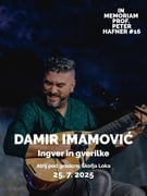 Damir Imamović, Ingver in gverilke | IMPH #16