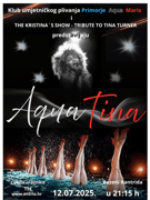 poster-image
