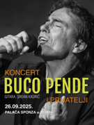 Buco Pende i prijatelji, Koncert Dubrovnik