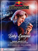 Red Bull Symphonic - 29.11.2025