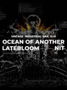 Ocean Of Another, Laebloom, Nit u Vintageu
