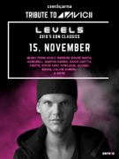 LEVELS - Tribute to AVICII (2010's EDM Classics)