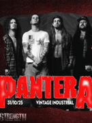 STRENGTH (Pantera tribute) u Vintageu