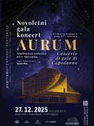 Novoletni gala koncert