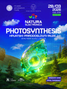 NATURA ELECTRONICA I - Photosynthesis