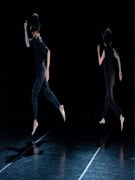 Matija Ferlin & Ame Henderson: SHOW GONE