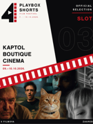 4. PLAYBOX SHORTS FILM FESTIVAL: SLOT 3