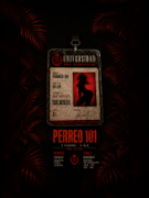 poster-image