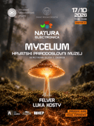 NATURA ELECTRONICA III - Mycelium