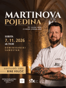 V. MARTINOVA POJEDINA