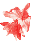30. MBZ: SVEČANO OTVARANJE - RICHARD AYRES: THE GARDEN