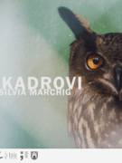 Krupni kadrovi, DIVERT, premijera