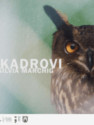 Krupni kadrovi, DIVERT & Silvia Marchig, repriza