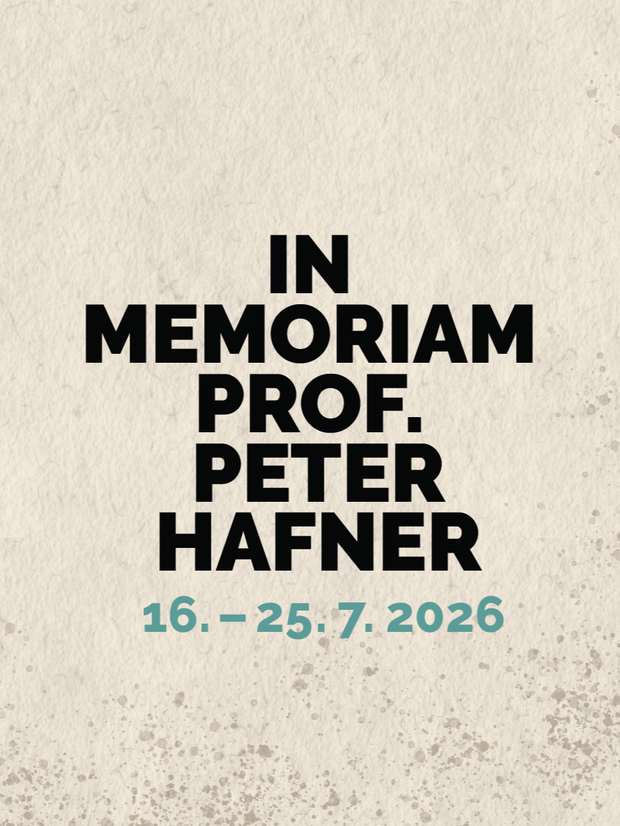 Festival In Memoriam prof. Peter Hafner #17