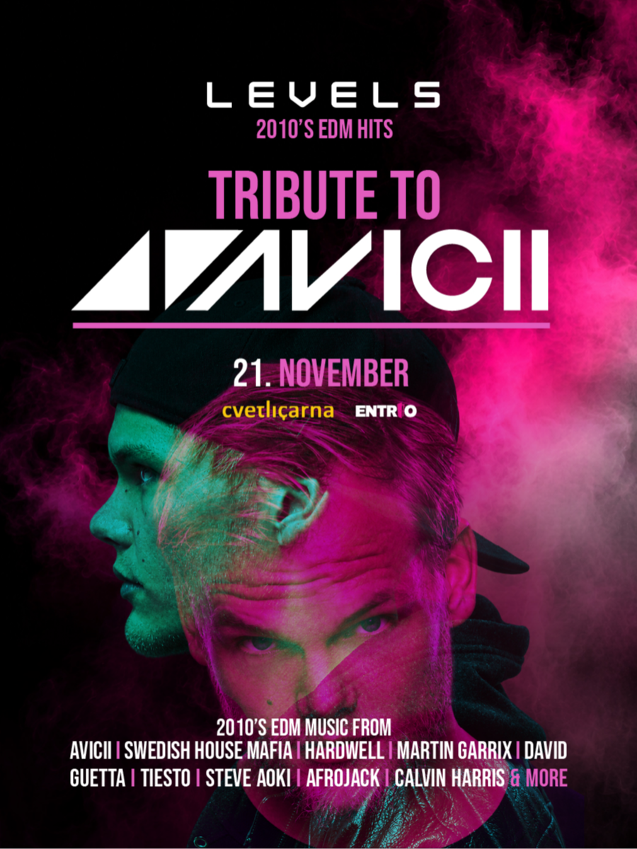 LEVELS - Tribute to AVICII (2010's EDM Classics)